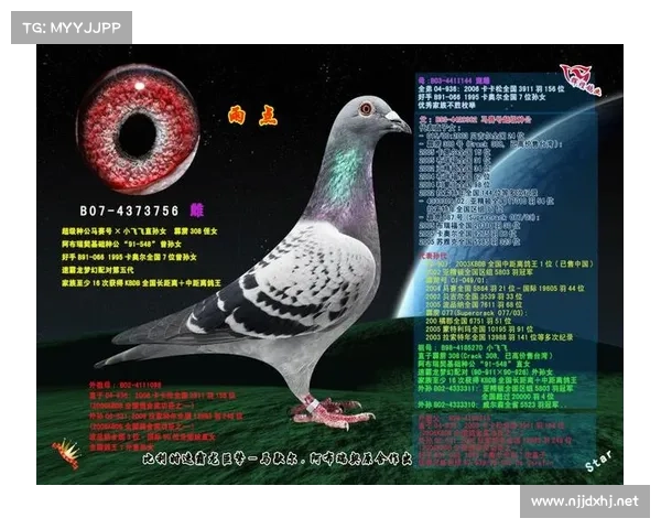 秦皇岛金友俱乐部赛事,2020秦皇岛金友俱乐部参赛费 秦皇岛金友俱乐部赛事,2020秦皇岛金友俱乐部参赛费